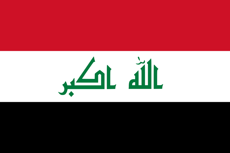 UAE Flag